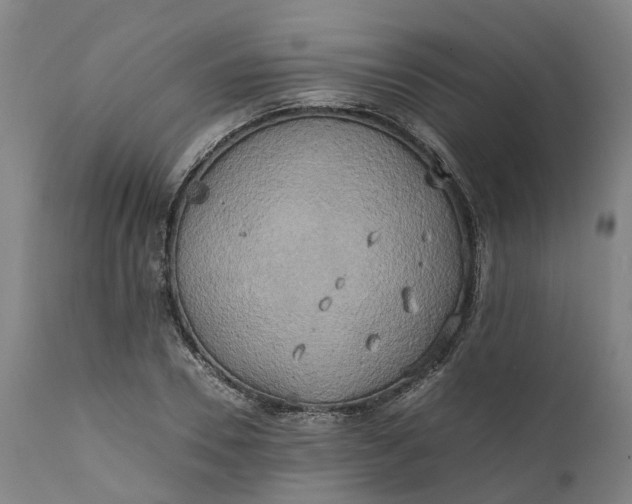 X0000111630930200907311223