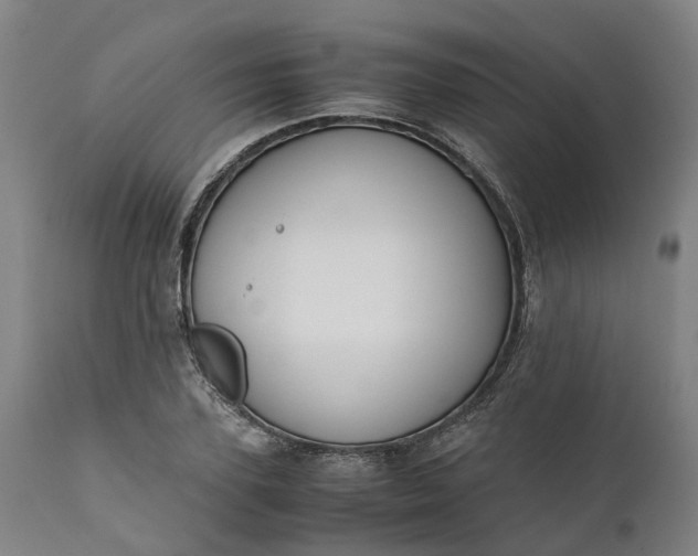 X0000111630931200907311223