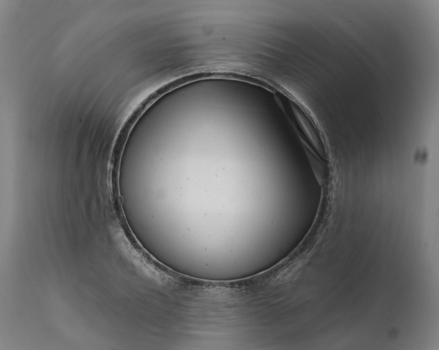 X0000111630932200907311223