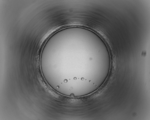 X0000111630933200907311223