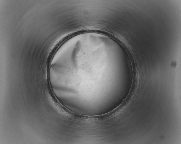 X0000111630934200907311223