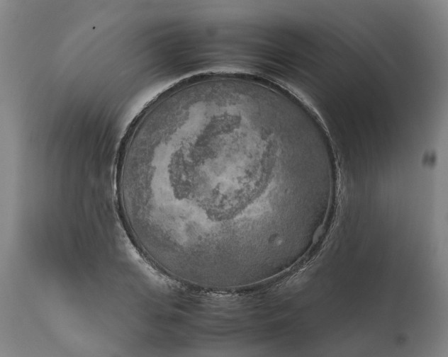 X0000111630935200907311223