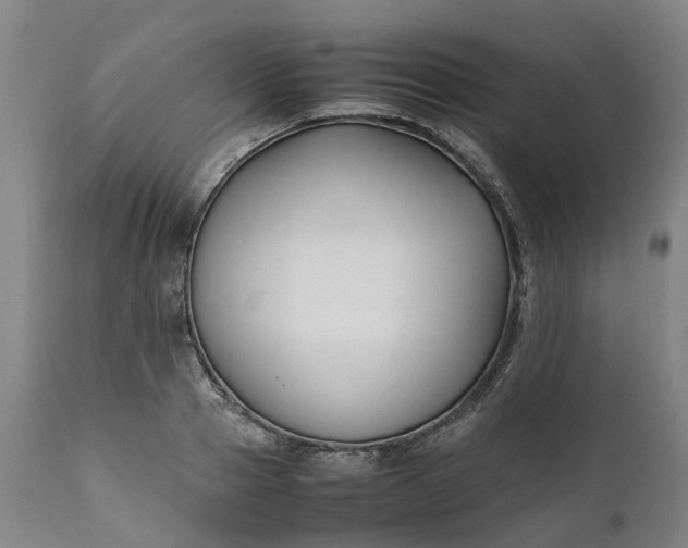 X0000111630937200907311223