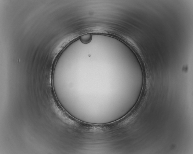 X0000111630938200907311223