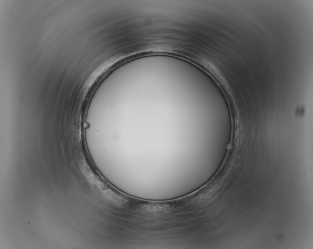 X0000111630939200907311223