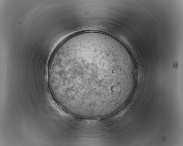 X0000111630940200907311223