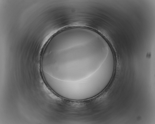 X0000111630941200907311223