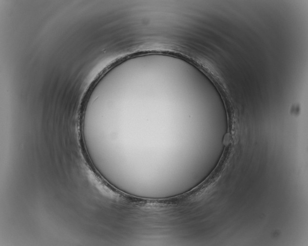 X0000111630942200907311223