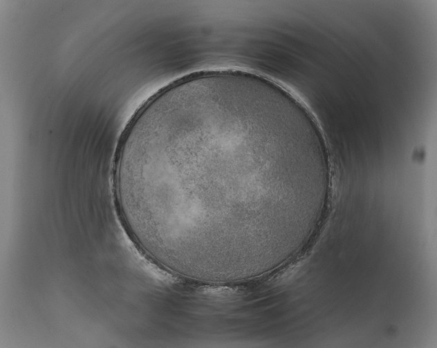 X0000111630943200907311223