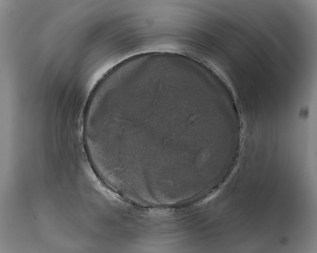 X0000111630944200907311223