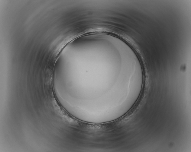 X0000111630945200907311223