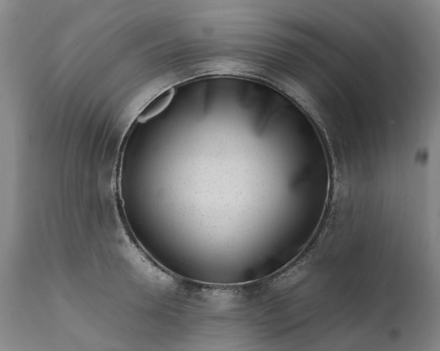 X0000111630946200907311223