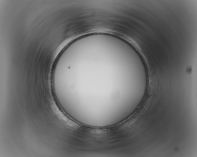 X0000111630947200907311223