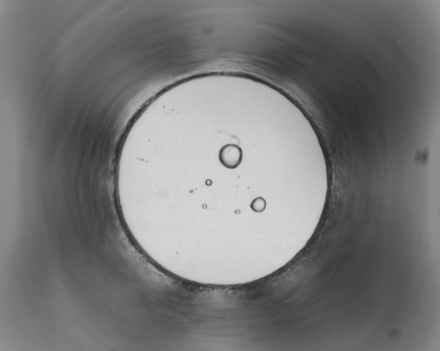 X0000111630950200907311223