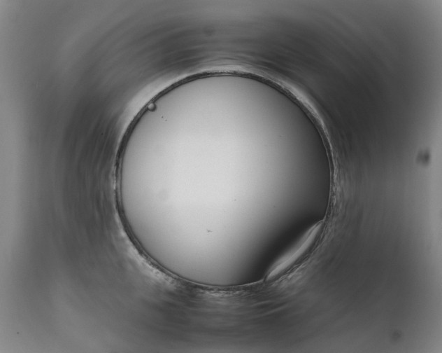 X0000111630951200907311223