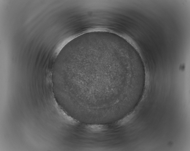 X0000111630953200907311223