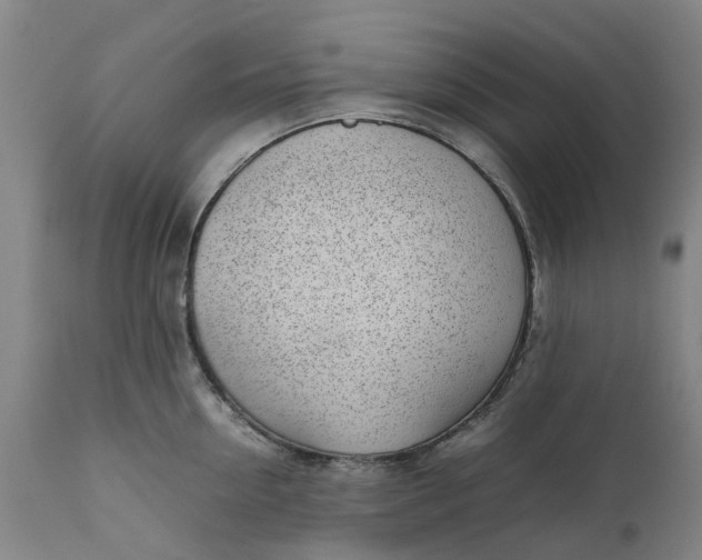 X0000111630954200907311223