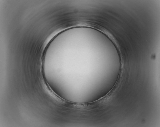 X0000111630955200907311223