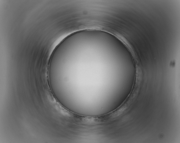 X0000111630956200907311223