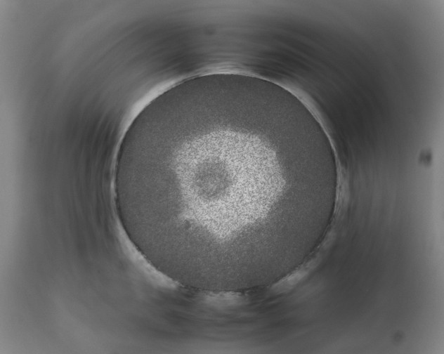 X0000111630957200907311223