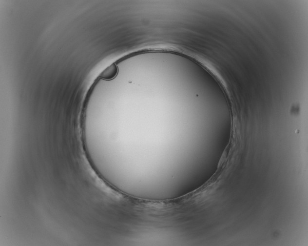 X0000111630959200907311223