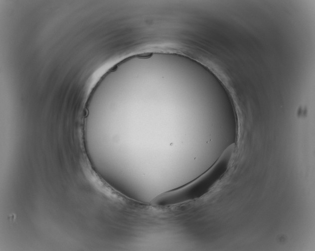 X0000111630960200907311223