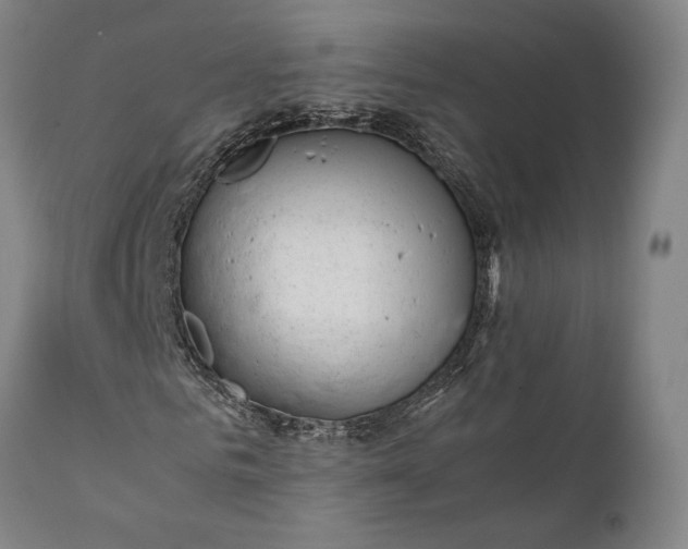 X0000111630961200907311223