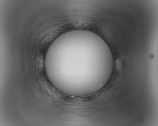 X0000111630963200907311223