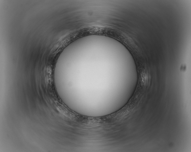 X0000111630964200907311223