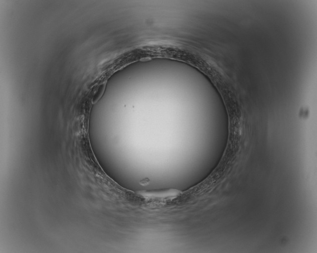 X0000111630965200907311223