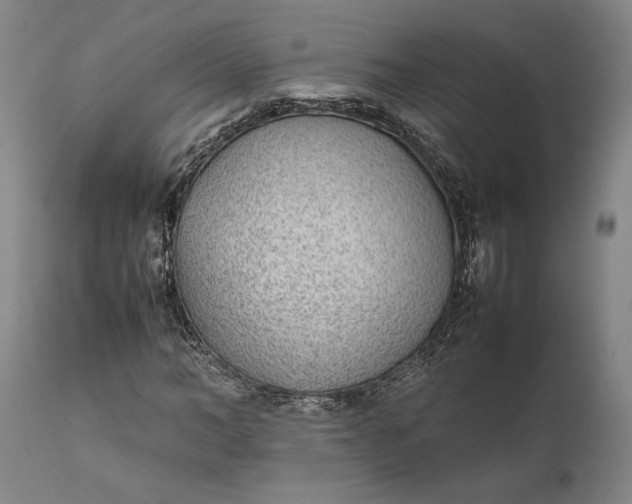 X0000111630966200907311223