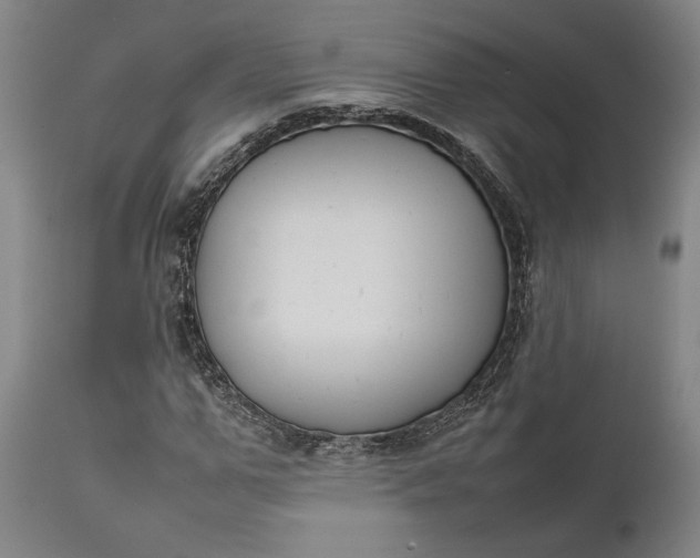 X0000111630967200907311223