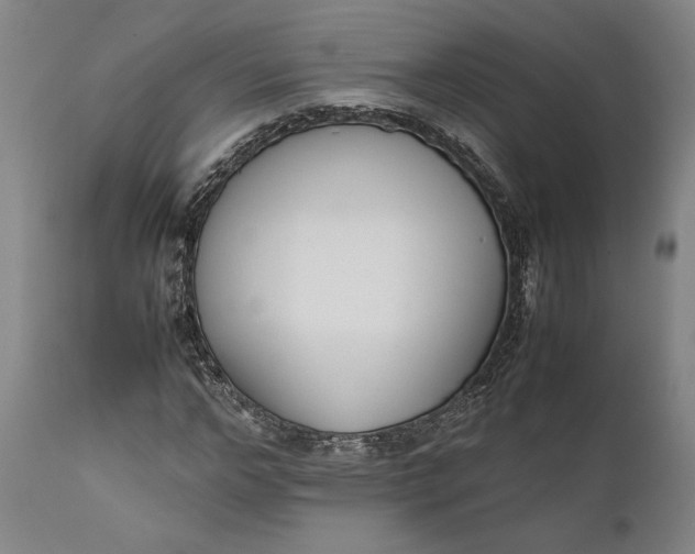 X0000111630968200907311223