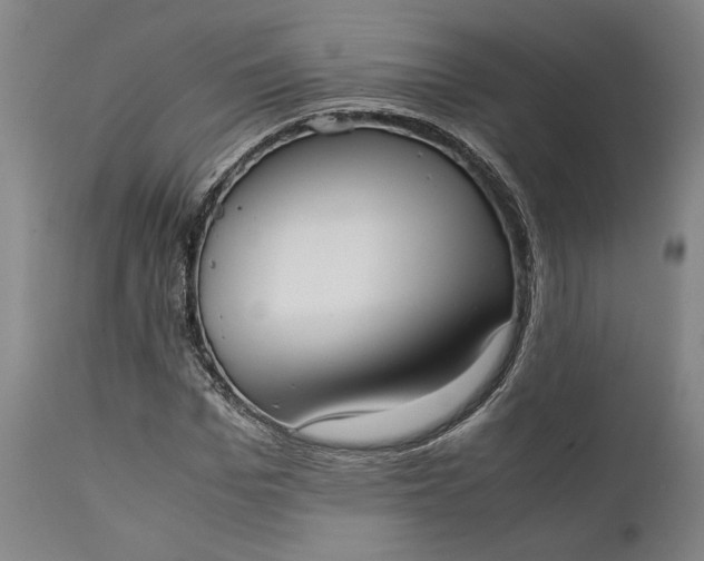 X0000111630969200907311223