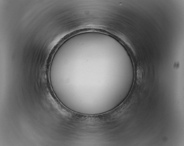 X0000111630972200907311223