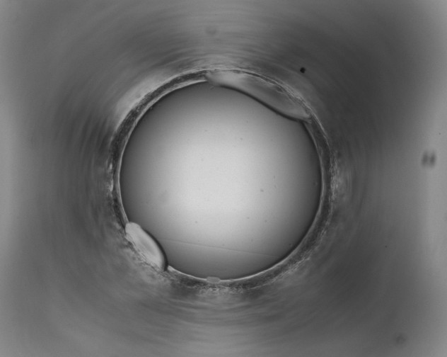 X0000111630973200907311223