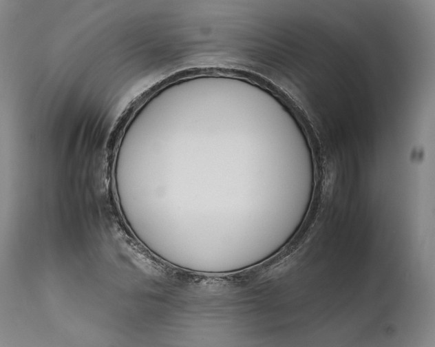 X0000111630974200907311223