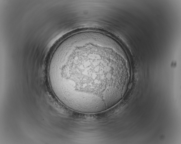 X0000111630975200907311223