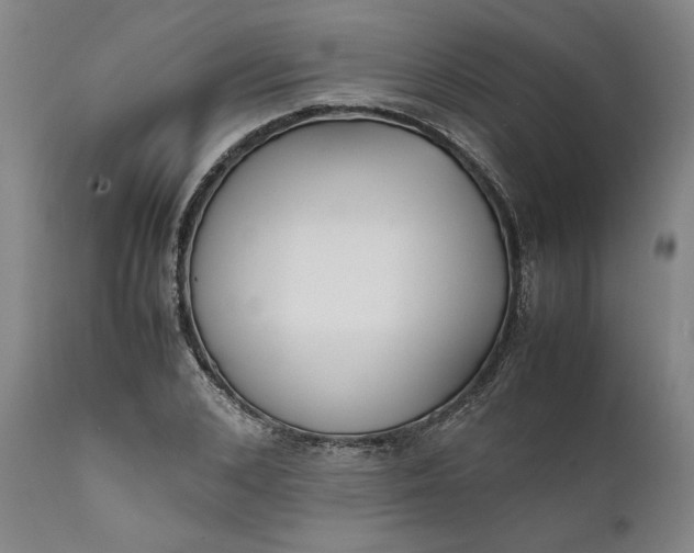 X0000111630976200907311223