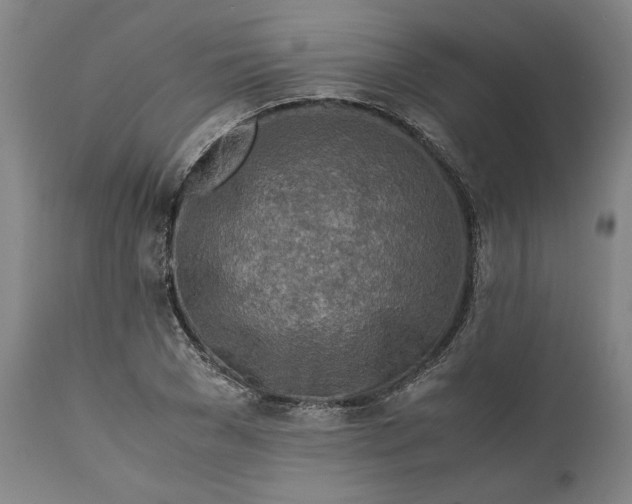 X0000111630977200907311223