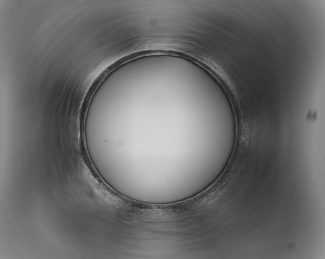 X0000111630980200907311223