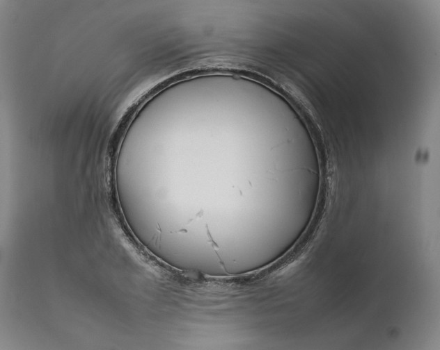 X0000111630981200907311223