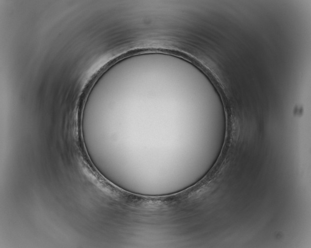 X0000111630982200907311222