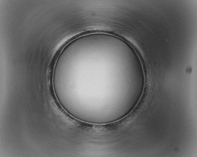 X0000111630983200907311222