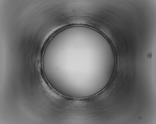 X0000111630984200907311222