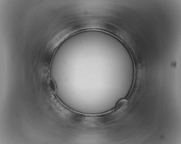 X0000111630985200907311222