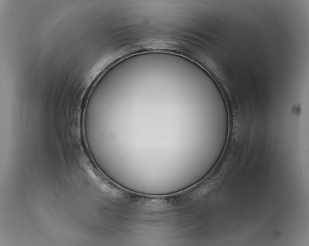 X0000111630986200907311222