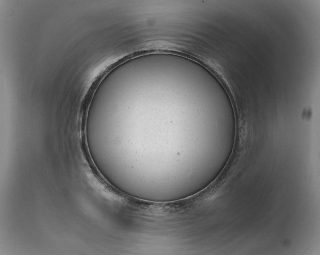 X0000111630987200907311222