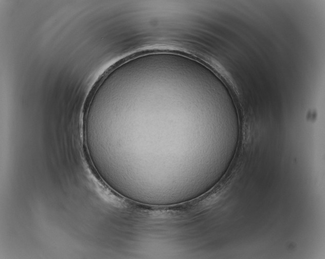 X0000111630988200907311222