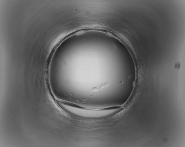 X0000111630989200907311222